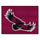 Fanmats - St. Joseph's University All-Star Mat 33.75''x42.5''