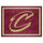 Fanmats - NBA - Cleveland Cavaliers 8x10 Rug 87''x117''