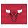 Fanmats - NBA - Chicago Bulls All-Star Mat 33.75''x42.5''