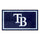 Fanmats - MLB - Tampa Bay Rays 3x5 Rug 36''x 60''