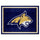 Fanmats - Montana State University 8x10 Rug 87''x117''