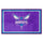 Fanmats - NBA - Charlotte Hornets 4x6 Rug 44''x71''