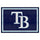 Fanmats - MLB - Tampa Bay Rays 5x8 Rug 59.5''x88''