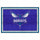 Fanmats - NBA - Charlotte Hornets 5x8 Rug 59.5''x88''