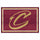 Fanmats - NBA - Cleveland Cavaliers 5x8 Rug 59.5''x88''