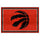 Fanmats - NBA - Toronto Raptors 5x8 Rug 59.5''x88''
