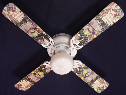 Ceiling Fan Designers 42FAN-KIDS-RSS2 42 in. Radical Skateboards-2 Ceiling Fan