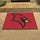 Fanmats - Saginaw Valley State University All-Star Mat 33.75''x42.5''
