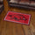 Fanmats - University of Arkansas 3x5 Rug 36''x 60''