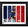 Xherdan Shaqiri Chicago Fire Framed 15'' x 17'' Player Panel Collage