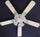 Ceiling Fan Designers 52FAN-DIS-TPF Tinkerbell Fairy Green Ceiling Fan 52 in.