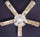 Ceiling Fan Designers 52FAN-KIDS-BSELZ Baby Safari Elephant Lion Zebra Ceiling Fan 52 in.