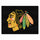 Fanmats - NHL - Chicago Blackhawks All-Star Mat 33.75''x42.5''