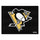 Fanmats - NHL - Pittsburgh Penguins All-Star Mat 33.75''x42.5''
