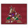 Fanmats - NHL - Arizona Coyotes All-Star Mat 33.75''x42.5''