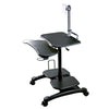 Sit/Stand Mobile PC Workstation w/Monitor Mount - Aidata