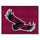 Fanmats - St. Joseph's University All-Star Mat 33.75''x42.5''