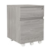 Rolling two Drawer Vertical Filing Cabinet with Lock and Storage, Grey - Techni Mobili