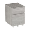 Rolling two Drawer Vertical Filing Cabinet with Lock and Storage, Grey - Techni Mobili