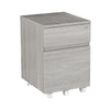 Rolling two Drawer Vertical Filing Cabinet with Lock and Storage, Grey - Techni Mobili