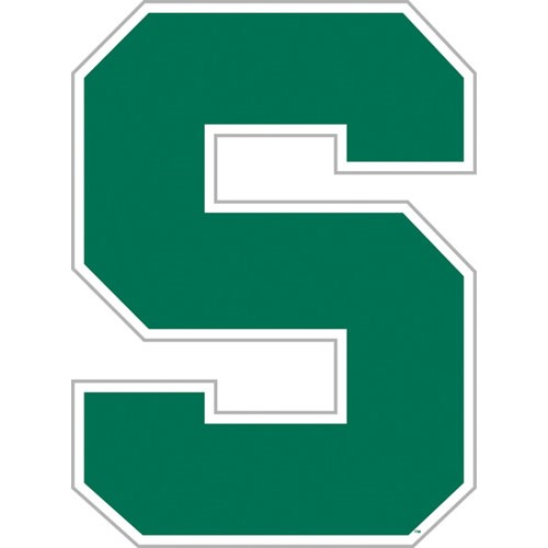 Michigan State Spartans Magnet Car Style 12 Inch -