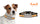 Tennessee Volunteers Classic Leather Toy Football Collar - Gamewear