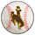 Fanmats - University of Wyoming Baseball Mat 27'' diameter