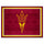 Fanmats - Arizona State University 8x10 Rug 87''x117''