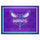 Fanmats - NBA - Charlotte Hornets 8x10 Rug 87''x117''