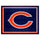 Fanmats - NFL - Chicago Bears 8x10 Rug 87''x117''