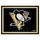 Fanmats - NHL - Pittsburgh Penguins 8x10 Rug 87''x117''