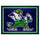 Fanmats - Notre Dame 8x10 Rug 87''x117''