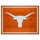 Fanmats - University of Texas 8x10 Rug 87''x117''