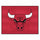 Fanmats - NBA - Chicago Bulls All-Star Mat 33.75''x42.5''