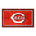 Fanmats - MLB - Cincinnati Reds 3x5 Rug 36''x 60''