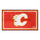 Fanmats - NHL - Calgary Flames 3x5 Rug 36''x 60''