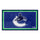 Fanmats - NHL - Vancouver Canucks 3x5 Rug 36''x 60''