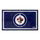 Fanmats - NHL - Winnipeg Jets 3x5 Rug 36''x 60''