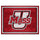 Fanmats - University of Massachusetts 8x10 Rug 87''x117''