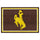 Fanmats - University of Wyoming 5x8 Rug 59.5''x88''