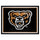 Fanmats - Oakland University 8x10 Rug 87''x117''