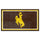 Fanmats - University of Wyoming 3x5 Rug 36''x 60''