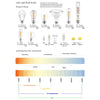 Table Lamp White Frosted Glass - Dainolite