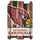 Arizona Cardinals Sign 11x17 Wood Fence Style - WinCraft