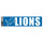 Detroit Lions Decal Bumper Sticker - WinCraft