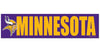 Minnesota Vikings Decal Bumper Sticker - WinCraft