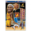 Cleveland Cavaliers Decal 11x17 Multi Use LeBron James Caricature Design CO - Wincraft