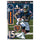 Chicago Bears Decal 11x17 Multi Use Brandon Marshall Design CO - WinCraft