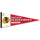 Chicago Blackhawks Pennant 12x30 Premium Style Vintage Design - 0