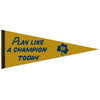 Notre Dame Fighting Irish Pennant 12x30 Premium Style PLACT Design - 0